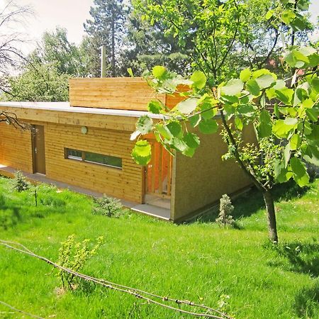 Vacation Home Pani haje Moravany  Esterno foto