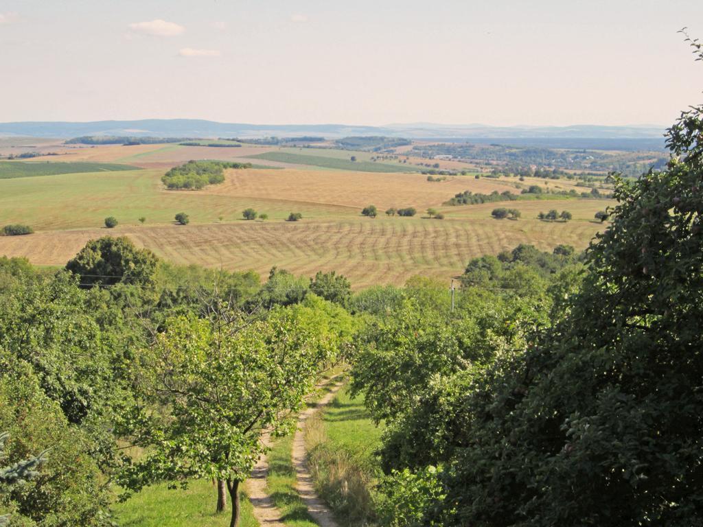 Vacation Home Pani haje Moravany  Esterno foto
